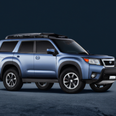 Где купить задние фары для Subaru Forester? Обзор и фото лучших предложений!
