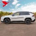 Накладки на боковую дверь Toyota RAV4 2019-2024, Цветны