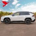Накладки на боковую дверь Toyota RAV4 2019-2024, Цветны