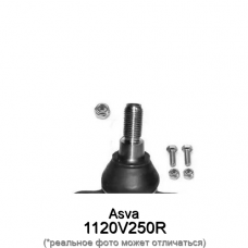 Опора шаровая верхнего рычага Asva 1120V250R
