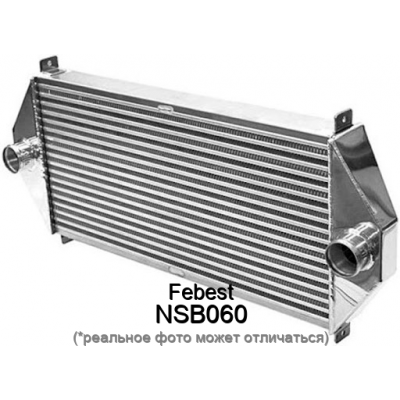 Втулка крепления радиатора Febest NSB060