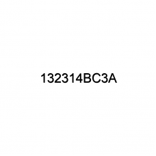 Толкатель клапана 3.30
 Артикул: 132314BC3A