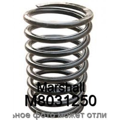 Пружина ходовой части Marshall M8031250