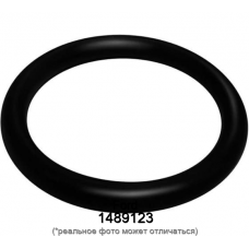 Кольцо уплотнительное Ford 1489123