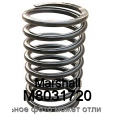 Пружина ходовой части Marshall M8031720