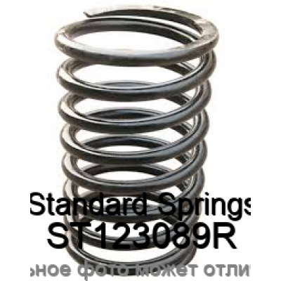 Пружина ходовой части Standard Springs ST123089R