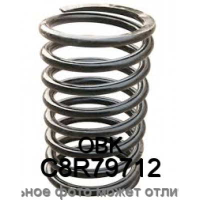Пружина ходовой части OBK C8R79712