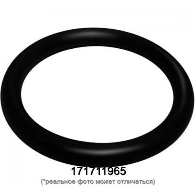 Кольцо уплотнительное VAG 171711965