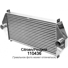 Прокладка масляного радиатора CitroenPeugeot 110436