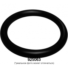 Кольцо уплотнительное Volvo 925063