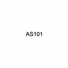 Амортизатор Oem No As101