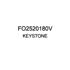 Поворотник Передний Левый Oem No Fo2520180v