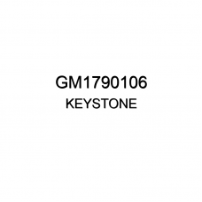 Молдинг На Расширитель Задней Колесной Арки Левый Oem No Gm1790106