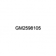 Заглушка Бампера Oem No Gm2598105