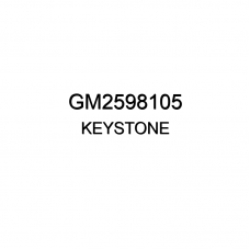 Заглушка Бампера Oem No Gm2598105