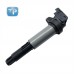 OEM катушка зажигания 0221504100 Код двигателя M6 совме