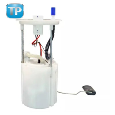 Топливный насос в сборе E2453M