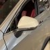 Накладка бокового зеркала Lexus NX/RX 2023, серебро/черный

