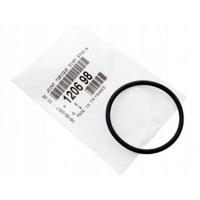 Кольцо уплотнительное CitroenPeugeot 120698