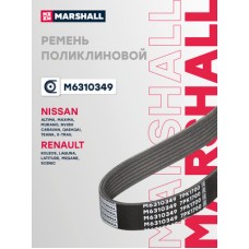 Ремень поликлиновой Marshall M6310349