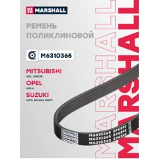 Ремень поликлиновой Marshall M6310365