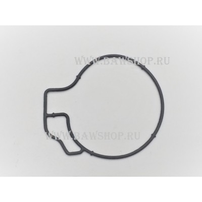 Кольцо уплотнительное Mazda PE0110673