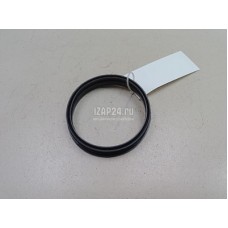 Кольцо уплотнительное топливного насоса Nissan 173425M303