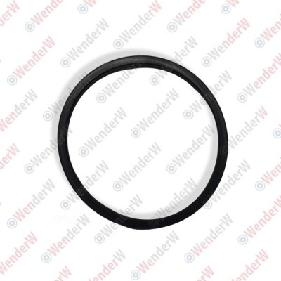 Кольцо уплотнительное маслоохладителя ( B130443U00 ) Nissan 21304JA11A