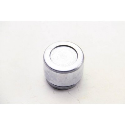 Поршень тормозного суппорта Seinsa Autofren D025303