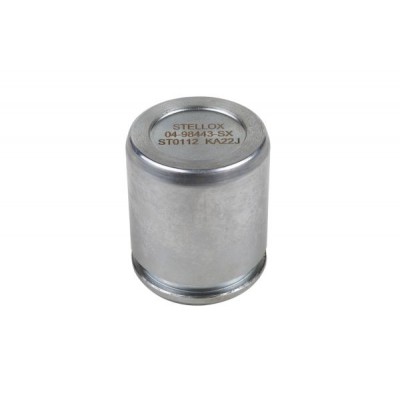 Поршень тормозного суппорта Seinsa Autofren D025340