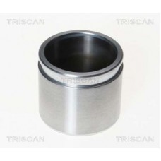 Поршень тормозного суппорта Seinsa Autofren D025501