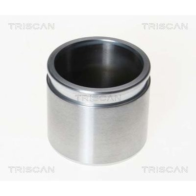 Поршень тормозного суппорта Seinsa Autofren D025501