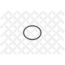 Кольцо уплотнительное BMW 17222245358