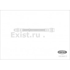Шланг тормозной Corteco 19036613