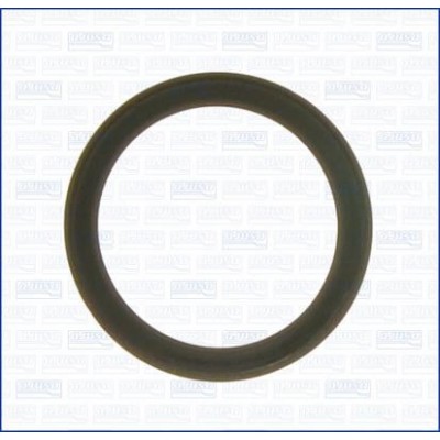 Прокладка впускного коллектора Ajusa 01048500