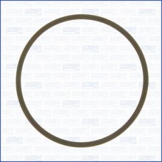 Прокладка впускного коллектора Ajusa 24029300