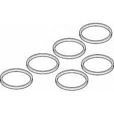 Прокладка впускного коллектора Ajusa 24030200