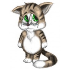 Подшипник ступицы (без магнит. кольца ABS) AMD AMDBER23