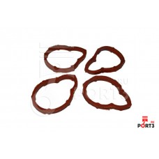 Прокладка впускного коллектора AMD AMDGAS348