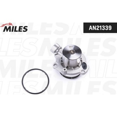 Насос водяной Dolz A300