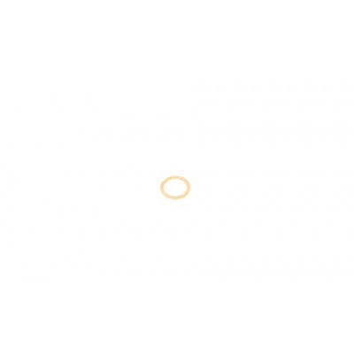 Кольцо уплотнительное Elring 110507