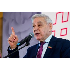 Ремкомплект суппорта Frenkit 238062