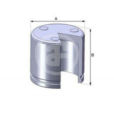 Поршень тормозного суппорта Frenkit P545001