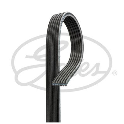 Ремень поликлиновый Gates 3PJ891