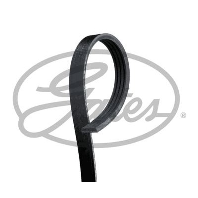 Ремень поликлиновый Gates 4PK703
