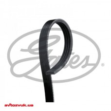 Ремень поликлиновый Gates 4PK705SF