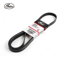 Ремень поликлиновый Gates 6PK1003