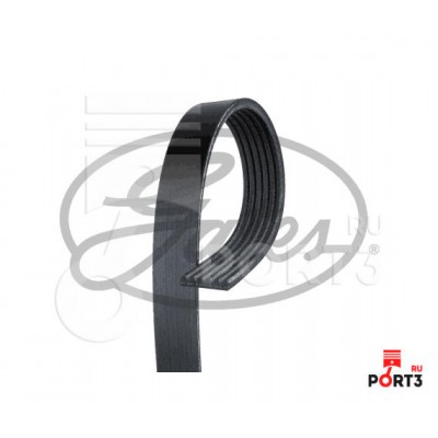 XF Ремень поликлиновый Gates 6PK1445
