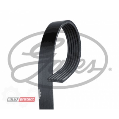 XF Ремень поликлиновый Gates 6PK831SF