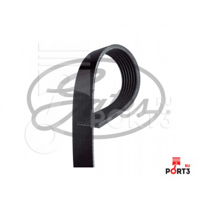Ремень поликлиновый Gates 7PK1335